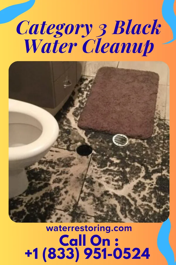 Category 3 Black Water Cleanup in Trimble, TN