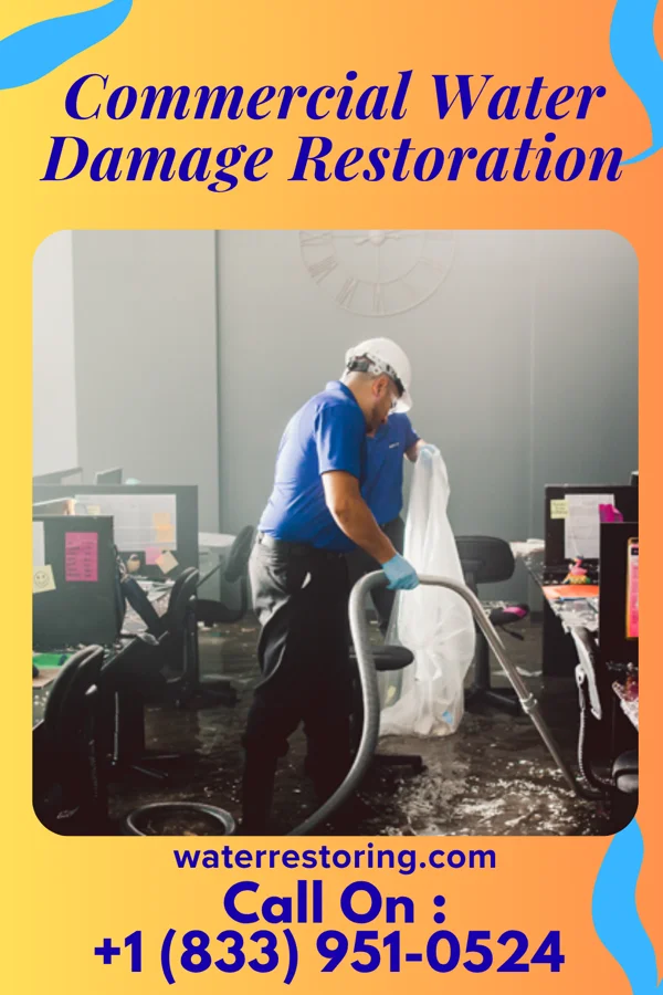 Commercial Water Damage Restoration in Trimble, TN