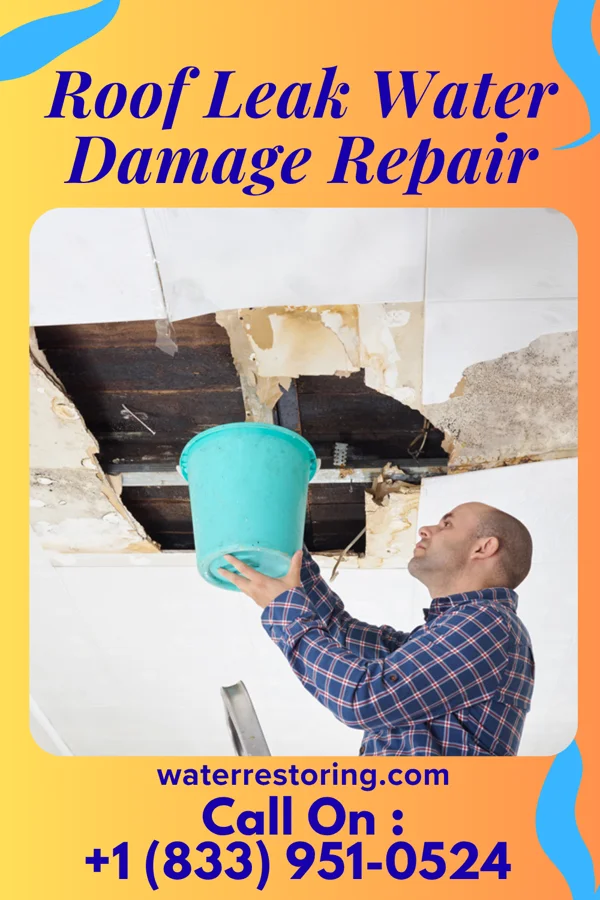 Roof Leak Water Damage Repair in Trimble, TN